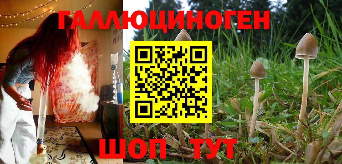 Псилоцибиновые грибы Magic Shrooms Мурманск