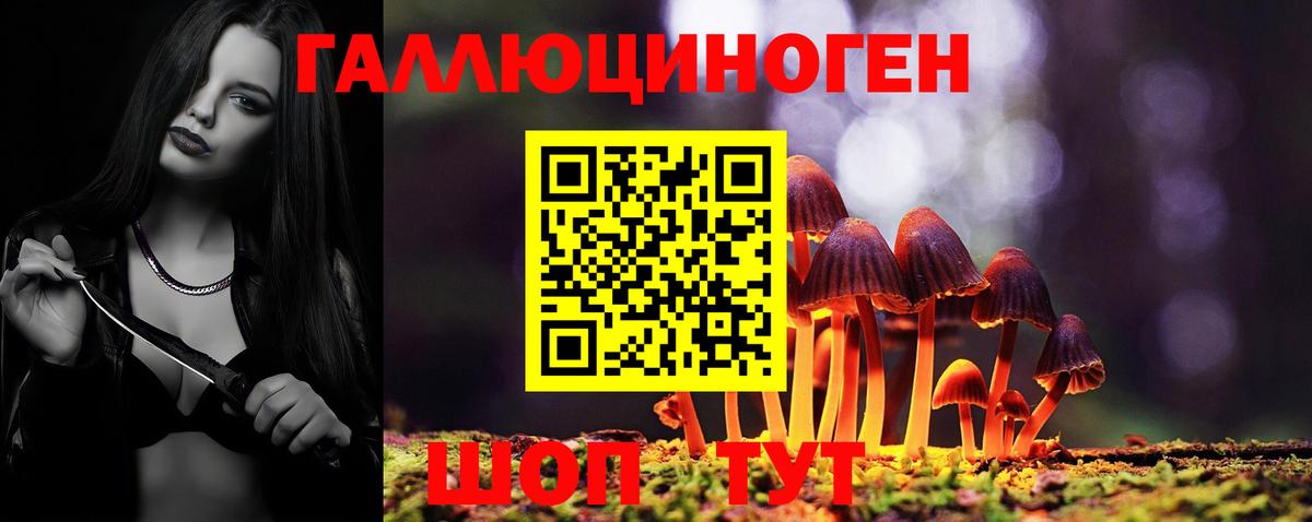 Мурманск  Галлюциногенные грибы Psilocybine cubensis  Вход с VPN 
